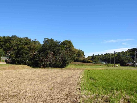 F723FCD4-921C-4CA2-BE46-53289F4877BA