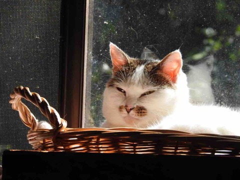 D99ECC38-ACF2-48DA-BC18-8BB1C9F0E5D9