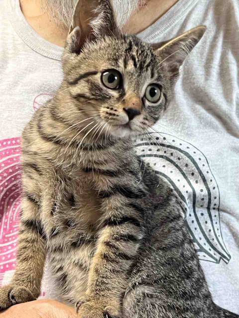 F1E5C7F8-A0DB-43A2-95C0-3DDEA93AA278