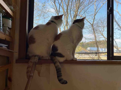 27236C8D-4783-4D6D-9976-7206127378F7