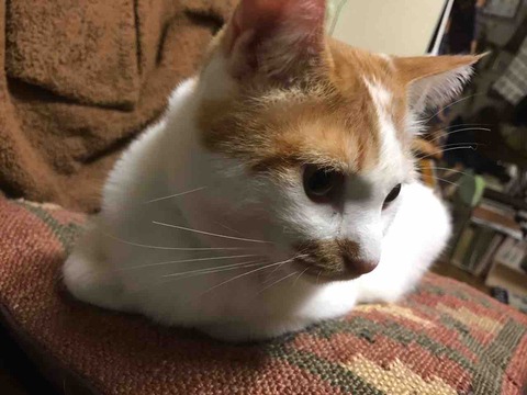 087B97B8-633F-46BB-B065-7DDF166BCDDB