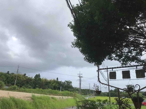 77CE7636-1E2A-4177-9916-176E8F3A0693