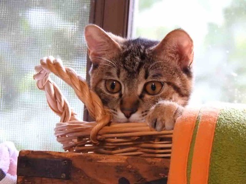 30AD81F8-3F2B-4AE8-A386-D140CA35AAFC