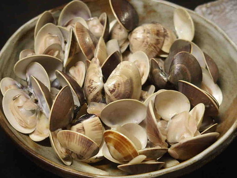 7281D1BC-1386-46E7-8E84-AFC32D6E9510