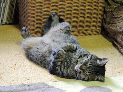 らんぼう窯風信 糞土師さんのお話