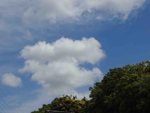 09293E44-78DE-45A3-B75A-9888E43C3373