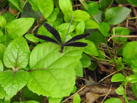 870C5B42-89E6-437F-A100-AFF1B0224713