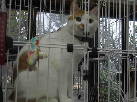 40EC4C47-F3B7-440E-80F6-4257E65FED9C