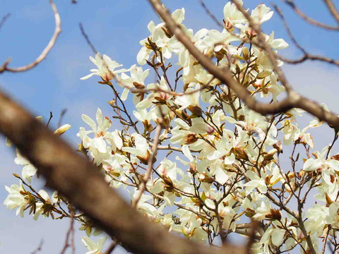 787E1974-E4D0-4D8F-B222-BBDB2E3BBAAB