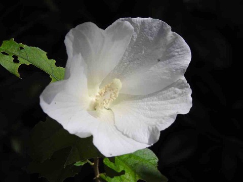 57BE3FE3-9D25-4E41-842A-D69BB5C6ADD7