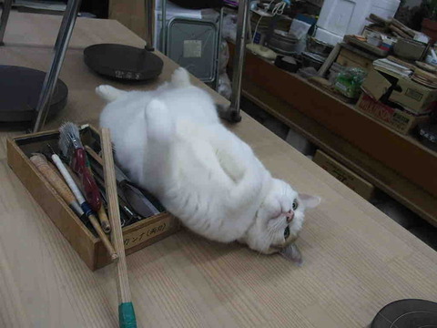 995618D6-659A-4989-9BCB-3D70454D598C