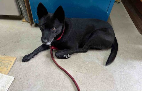 2332F7EF-7ACC-4154-83A3-A6C50EC37CCB