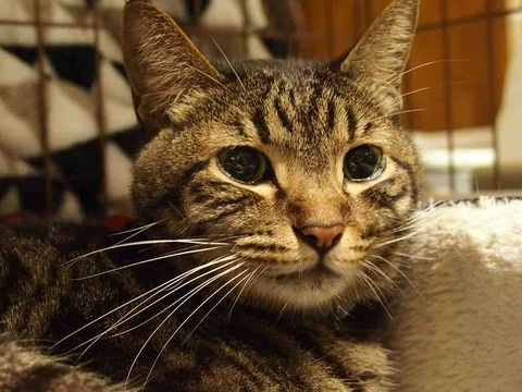 45618A5C-92CD-4AF3-8917-284BAB2B0FCD