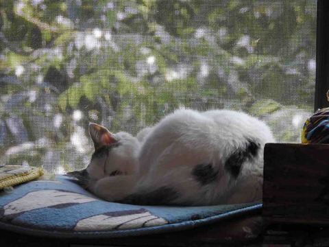 5A5882A2-AED5-4F78-9AD3-19F5F1659EC5