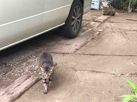 16A448EE-EAC0-48D1-B654-3386358DFBB6