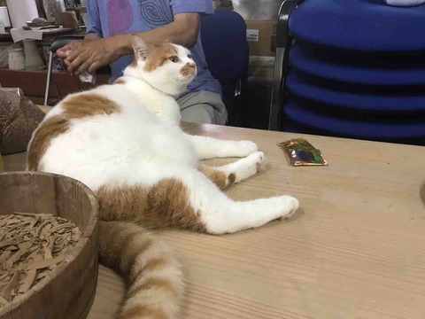 F79CD010-EDEC-4B12-8838-F3C297DF3EBA