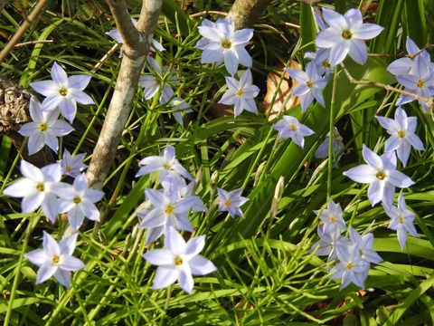 BC1C0EA3-B88F-4F87-81DD-5364ECE1B6A0