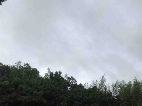 9BB3AA46-DAC7-4125-83C4-2A62A02A11AE