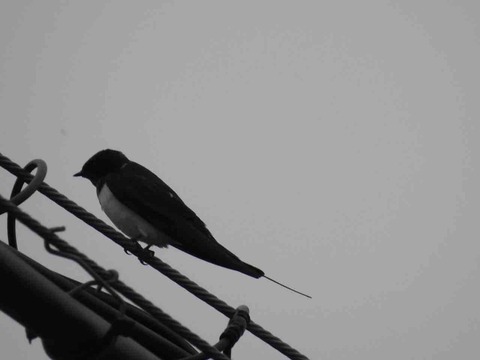 FE19B92B-5CC9-4EF8-9733-C3B220CE9840