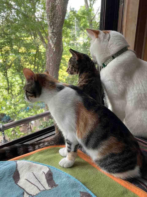 BEC7115D-2E68-4DDF-BAD7-B93788639068