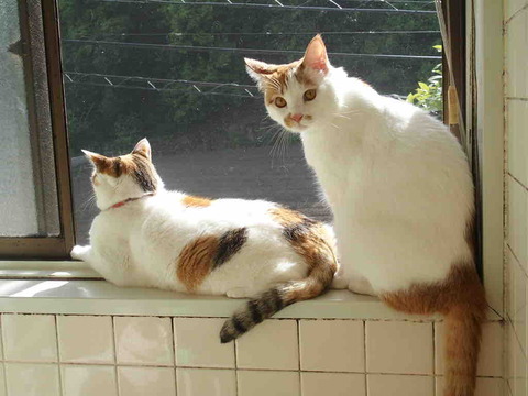 0A5BF996-ADA1-4B61-B3EC-32812784AF1D