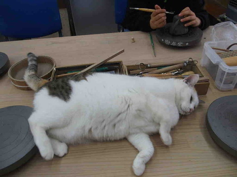 4E4C4F12-EFBA-4C3A-8399-0EA34AB25D5E