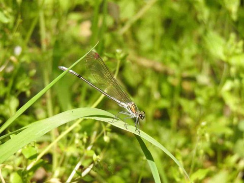 0291362D-5F98-42B4-BDD8-01798647C564