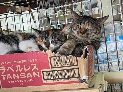 20AF59DC-0891-4015-B9F4-ED5DDAC40F3C