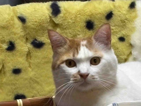 8D925732-D0CB-4394-BE56-4B8D0224C062