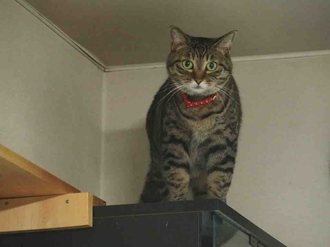 EE120394-18C1-4E42-834A-1F898C733191