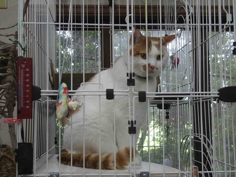 8645C401-66C3-4C4A-A440-4D81C8DFD189