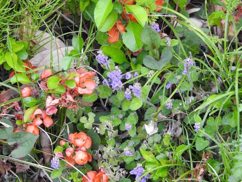 7C24CE58-8C04-44EE-9F1D-FAFDF35EDA8A