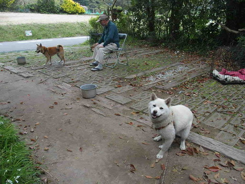 E8849637-7826-482D-A295-EDD4ED37E4F5