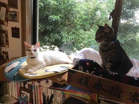 47072F33-713F-42F1-BB9D-16CFA3D865DB