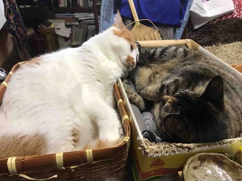 AEF6DD8E-5E7C-4DCC-AFC7-9998419794BB