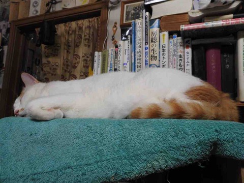 BAF85DA0-6D95-436E-A737-FF37BAD97A9D