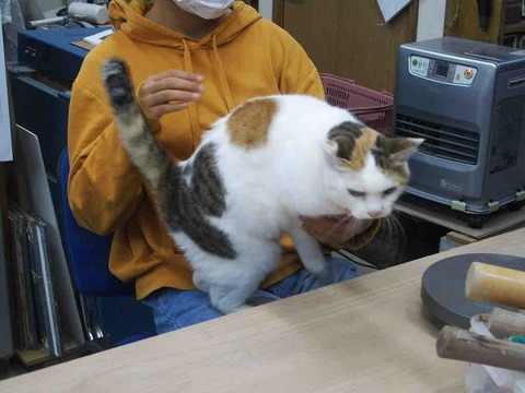 DCB21093-1DCF-4208-ABF5-0FDE404DD04F