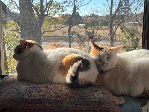 199EC2BA-6D6B-4F5D-99DB-3300AD20D6AB