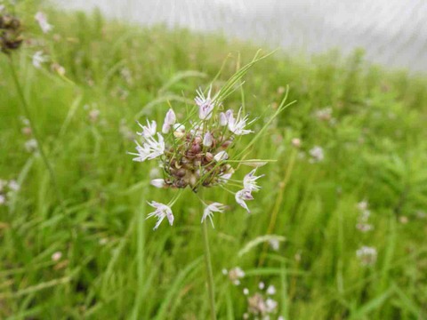 0FCC3066-B71C-4117-9C16-675BD1DE21C0