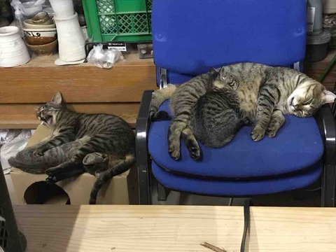 AC54DDCD-E047-41F2-ABCA-62E5A0396E61