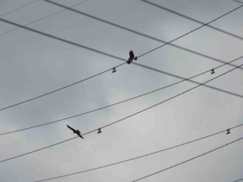 DEB8471A-130B-4207-8B3F-A2CEA93B65A6