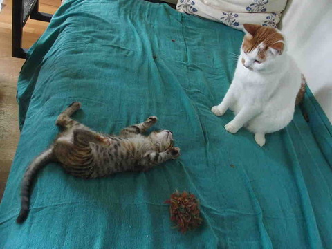 91016FC5-B244-4E06-A814-01CEE6221D05