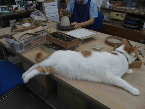 F2A5EC99-0FAC-4470-83F0-DBEDA64954A2