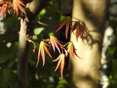 9500FF38-EF79-4C24-AA78-8910DAECA2D0