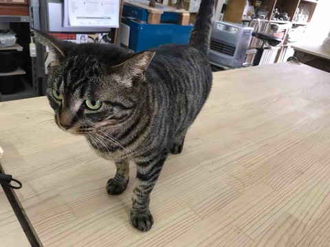 FFC2AD92-7077-4889-9D68-01882D93C2DA