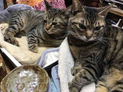 2D71C6D9-93D6-4975-AF80-2A9810CC7E4B