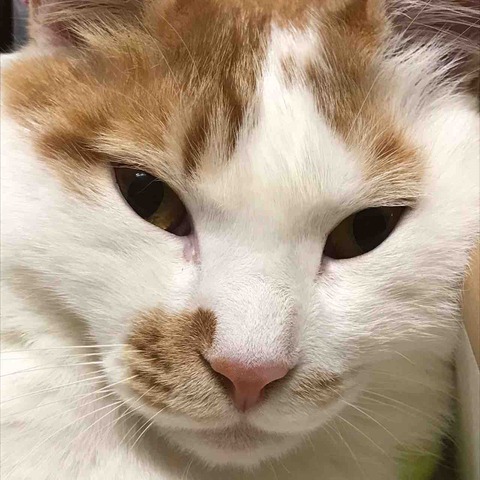 BE532E0B-237B-40AF-990E-0FD0A469F169