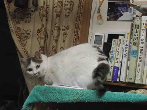 54F49F9A-2B4E-464D-BE4B-10E6A88A8FDF