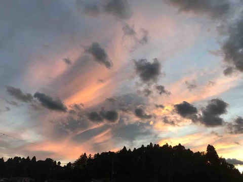 051AFC37-1621-4BC0-B113-E7B31F04274F