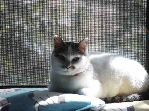 121B9B6E-E06D-44FE-A8F5-045B2C1ED39B